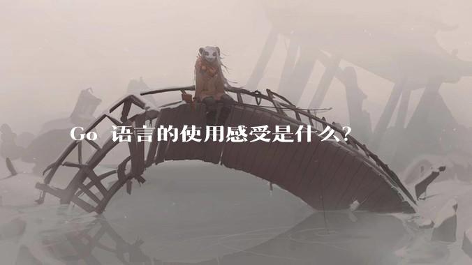 Go 语言的使用感受是什么？