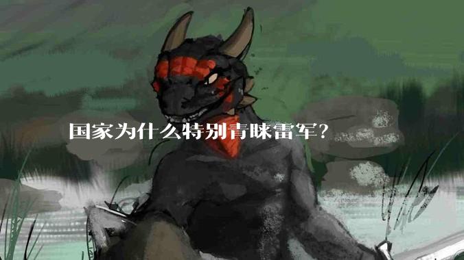 国家为什么特别青睐雷军？