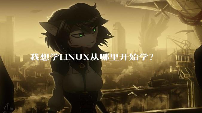 我想学LINUX从哪里开始学？
